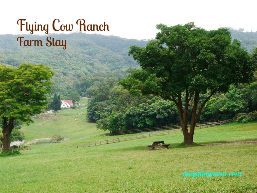 Flying Cow Ranch Taiwan