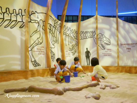 dinosaur role play area ideas