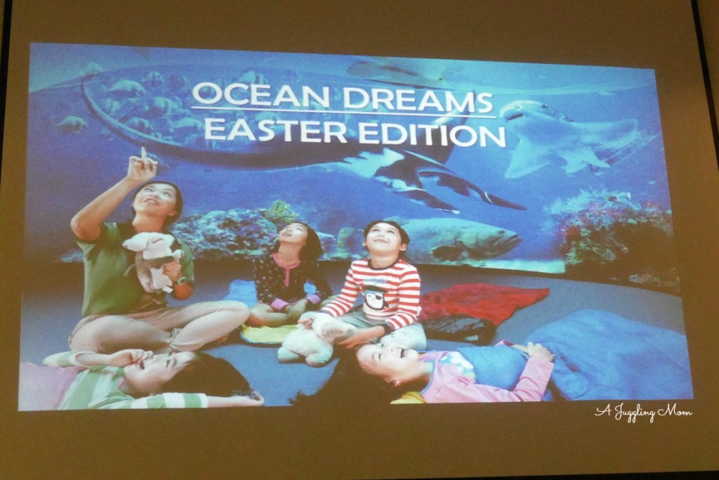 Ocean Dreams SEA 001