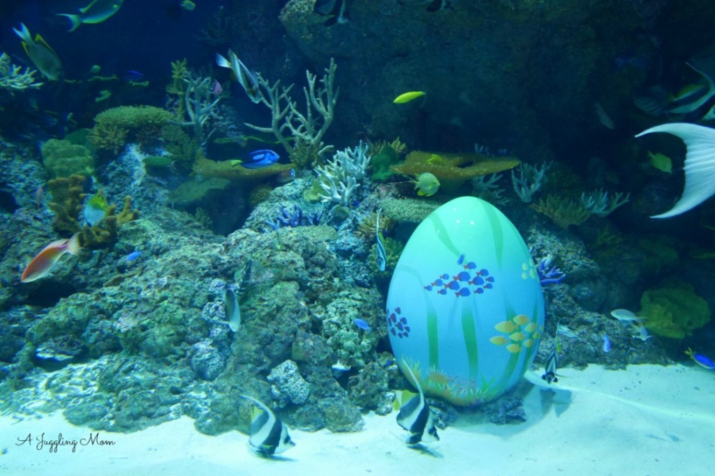 One of the many Easter Eggs into the tanks