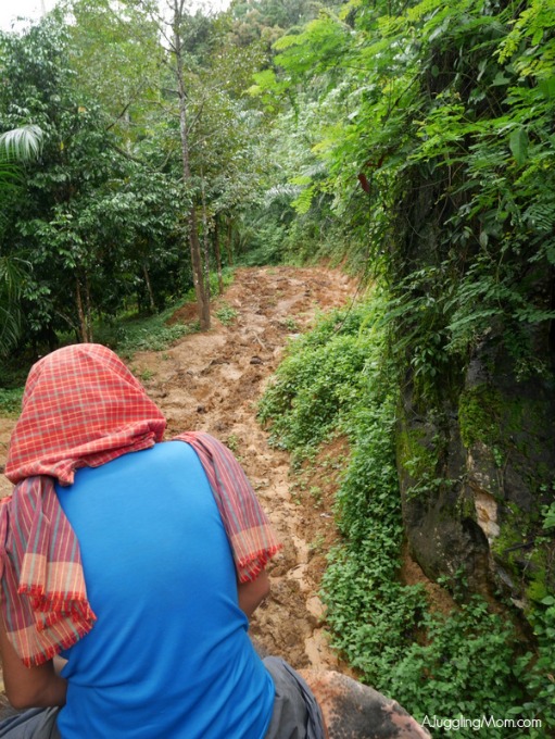 Elephant trekking Krabi 005