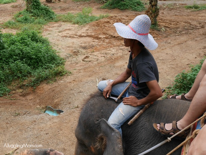 Elephant trekking Krabi 006