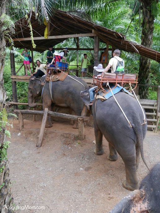 Elephant trekking Krabi 007