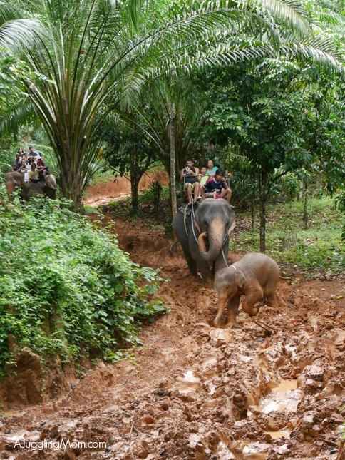 Elephant trekking Krabi 008
