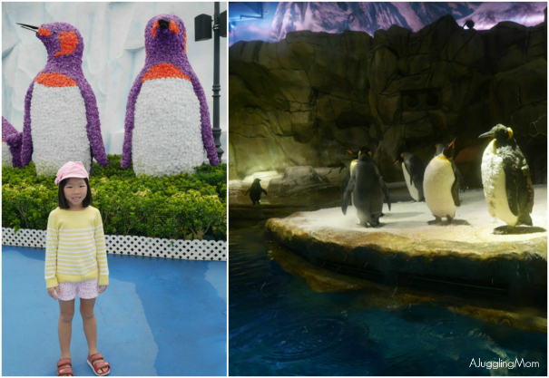 Ocean Park 03