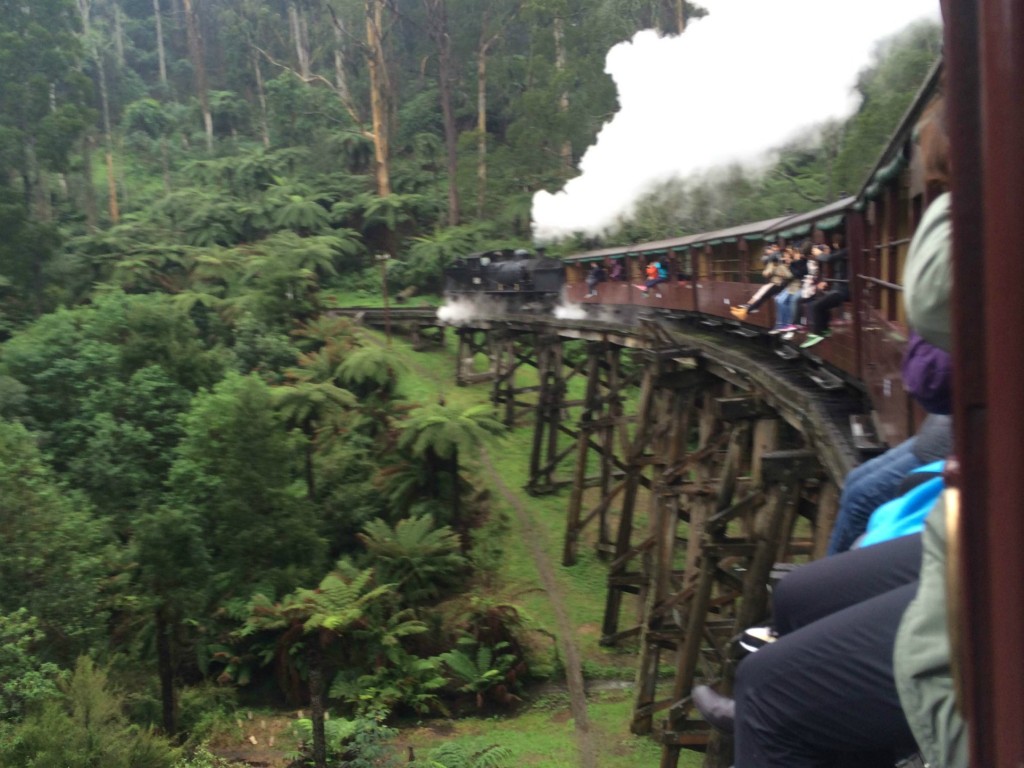 Puffing Billy 13