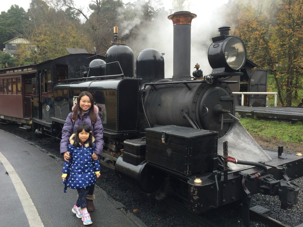 Puffing Billy 08