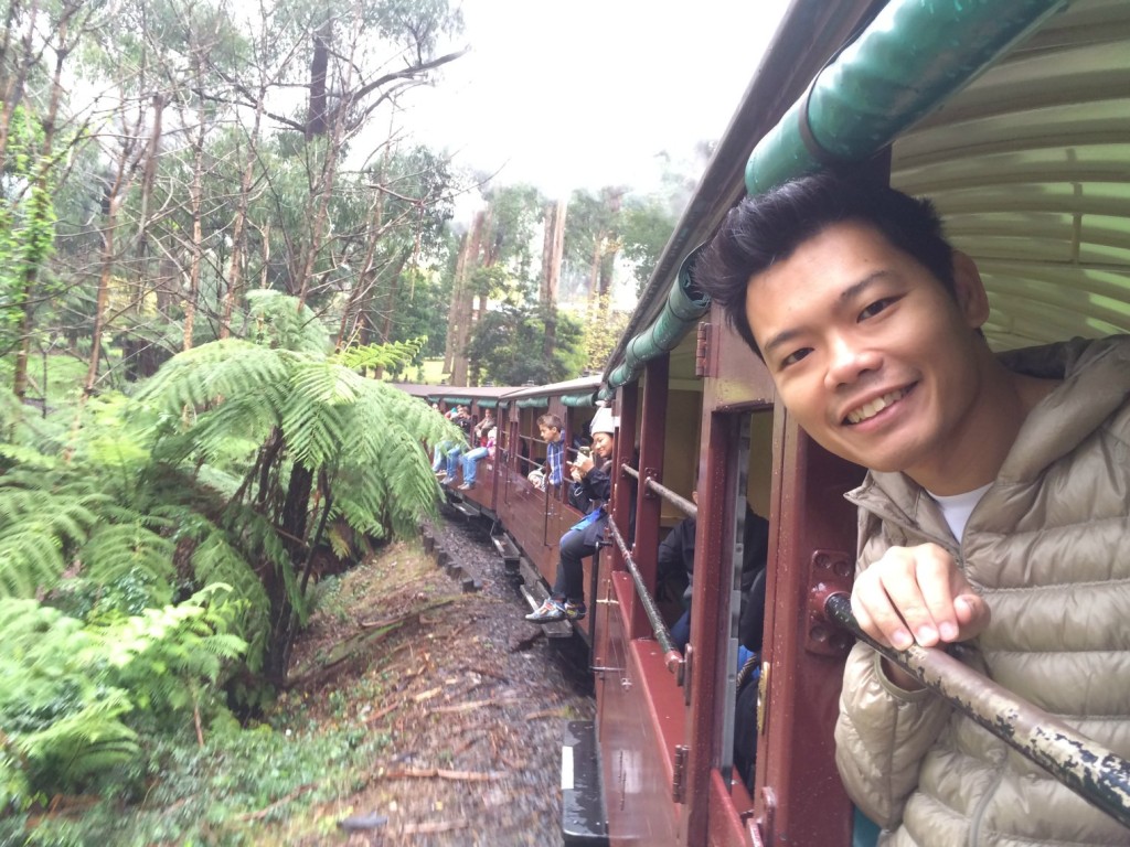 Puffing Billy 15