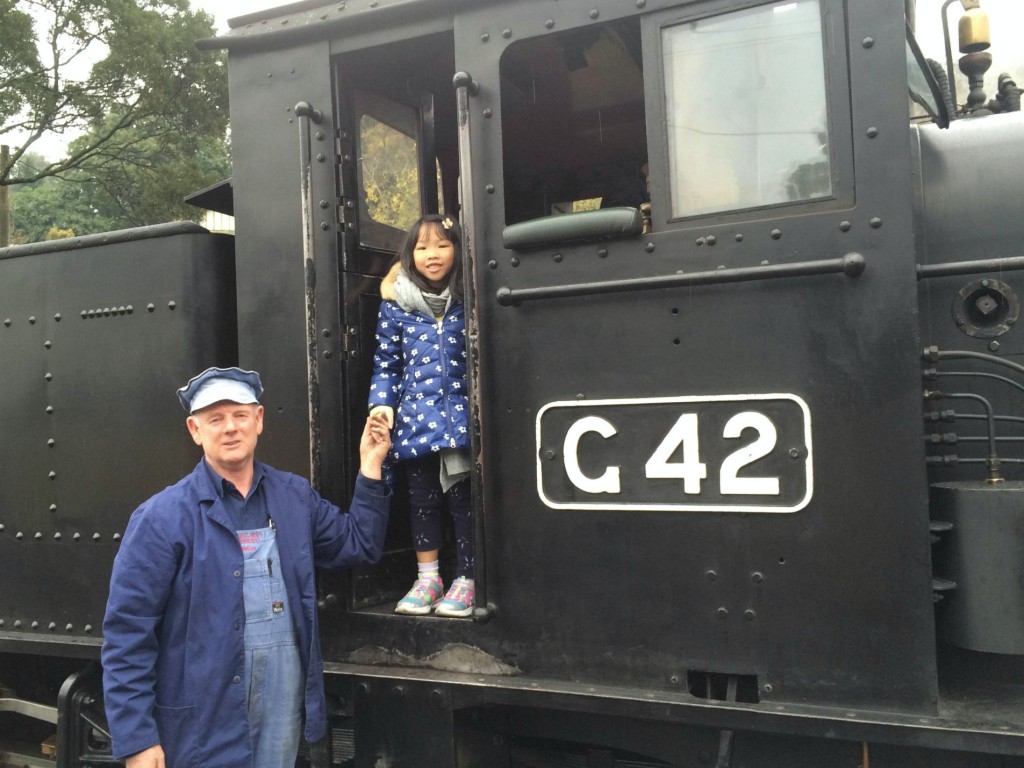 Puffing Billy 16