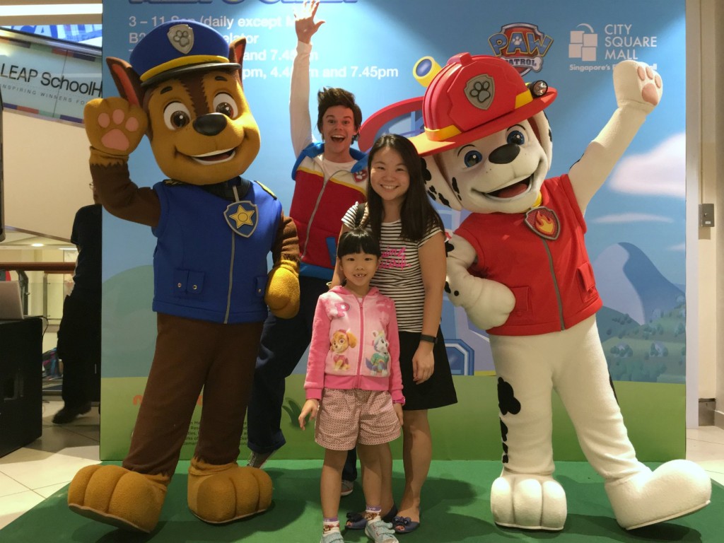 Paw Patrol 10